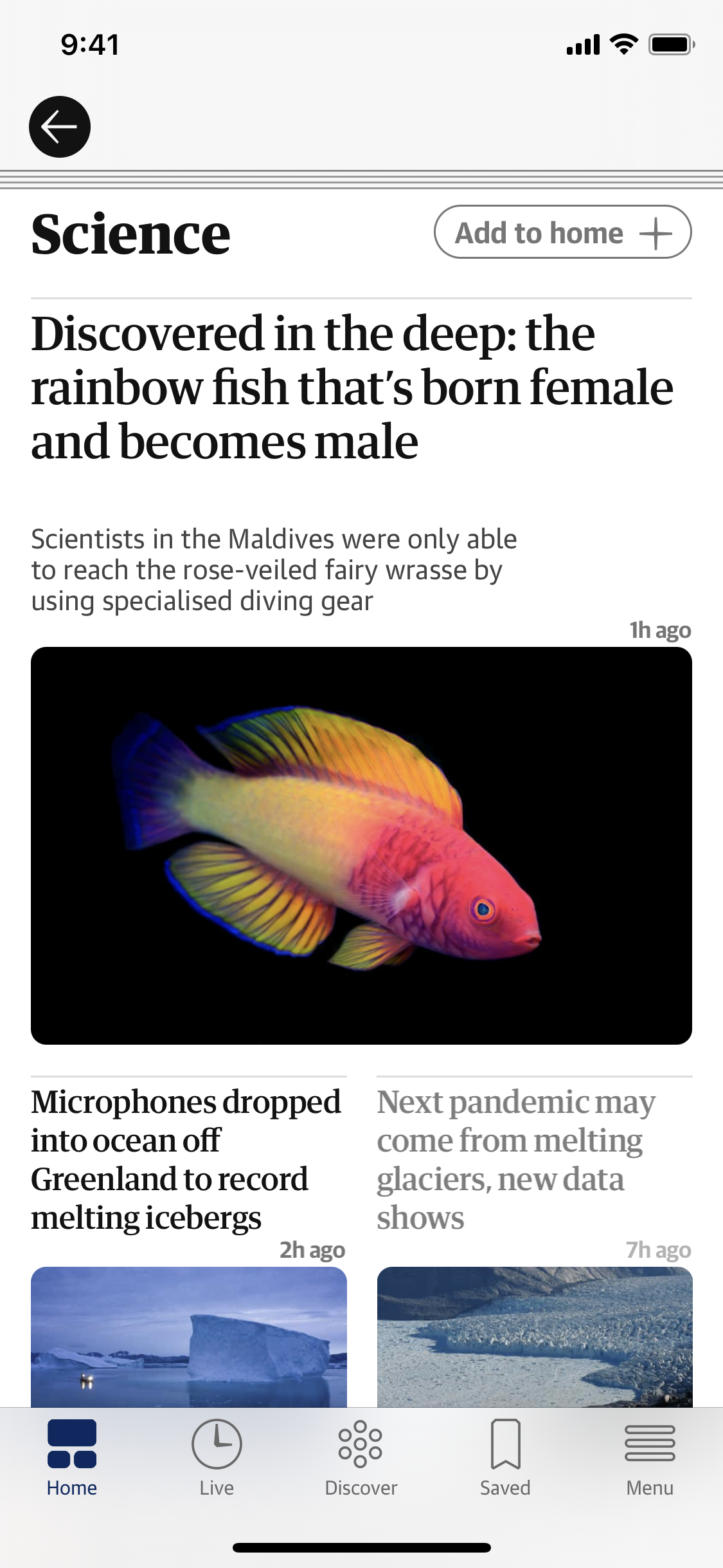 Discovered in the deep: the rainbow fish that's born female and